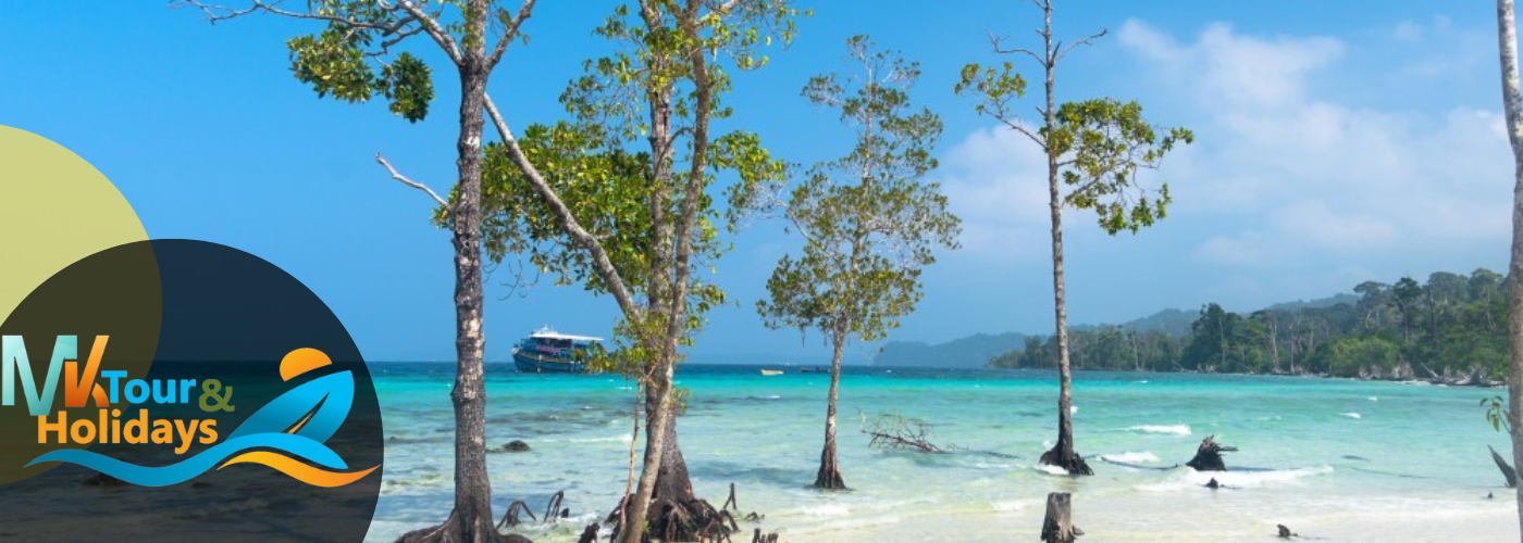 Andaman tour Package