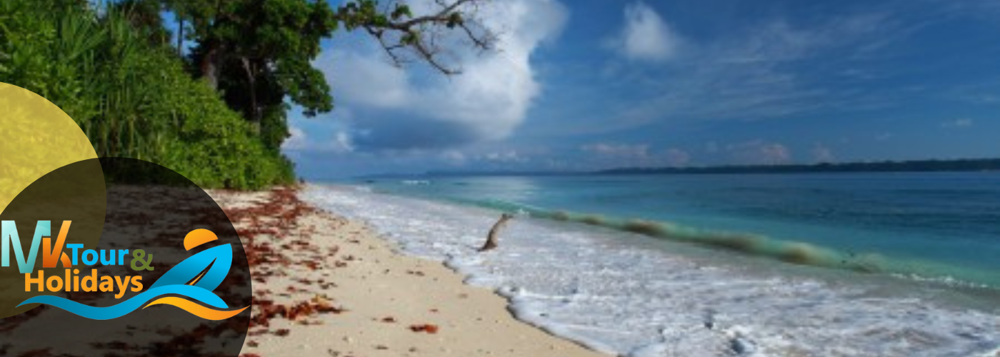 Andaman tour Package